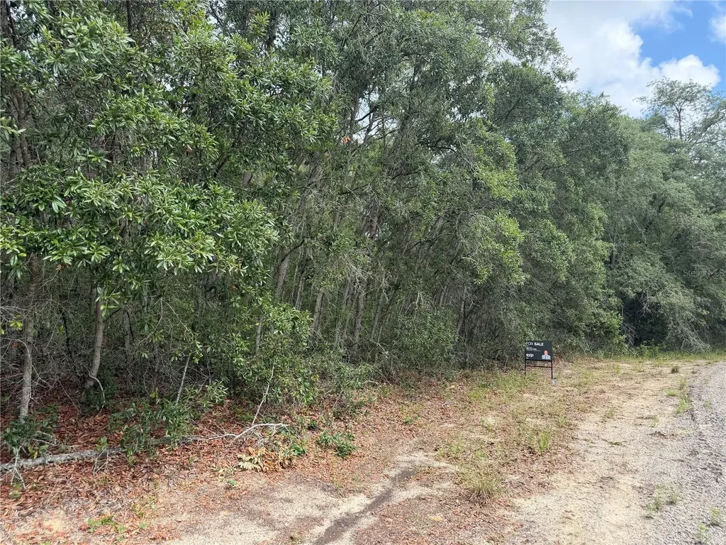 9328 N Rada Terrace Dunnellon FL 34434