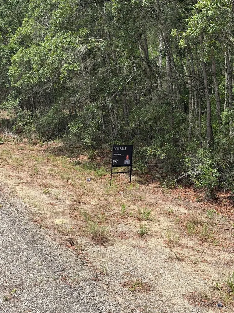 9328 N Rada Terrace Dunnellon FL 34434