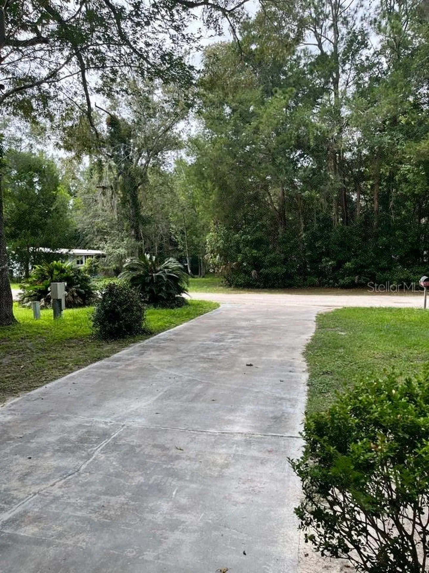 11012 NW 113th Place Chiefland FL 32626