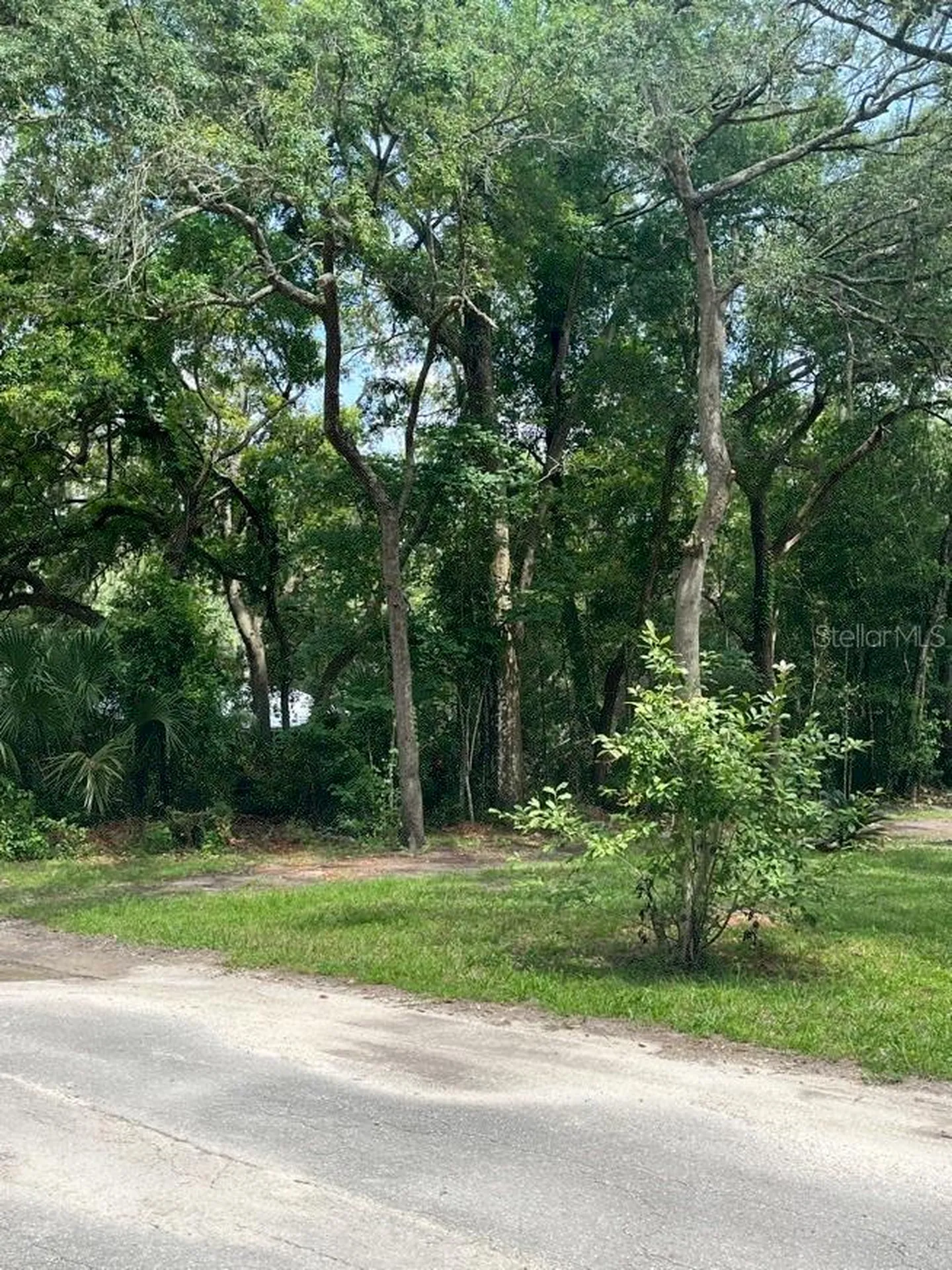 11012 NW 113th Place Chiefland FL 32626