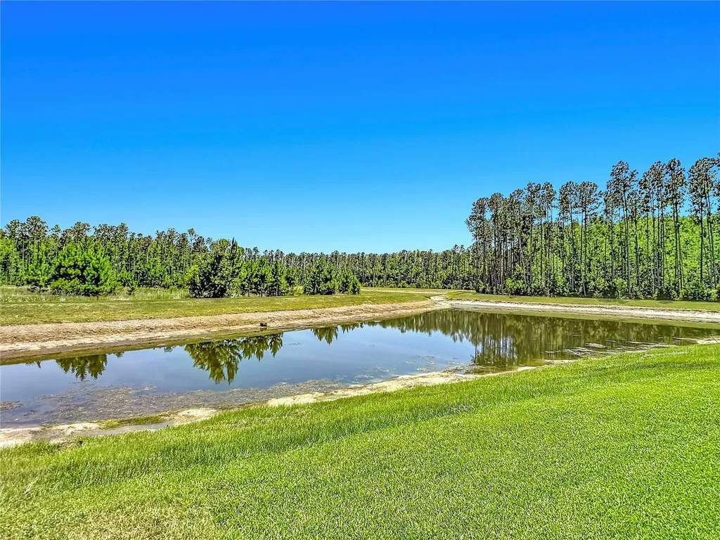 7677 Broad River Avenue Land O Lakes FL 34638