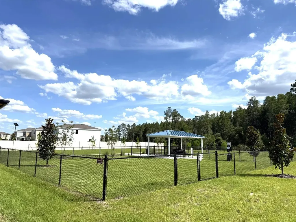 7677 Broad River Avenue Land O Lakes FL 34638