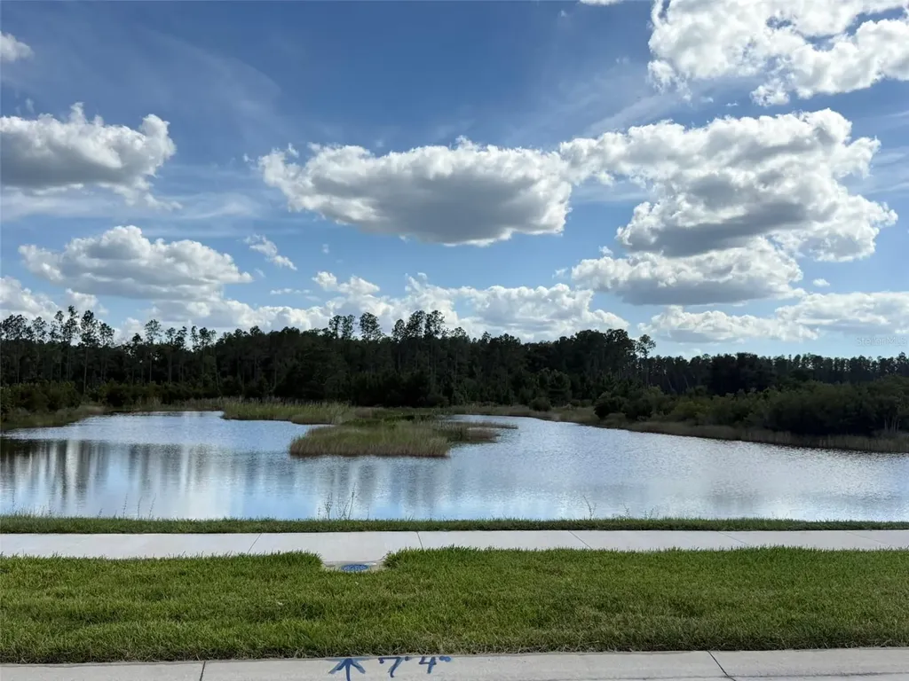 7677 Broad River Avenue Land O Lakes FL 34638