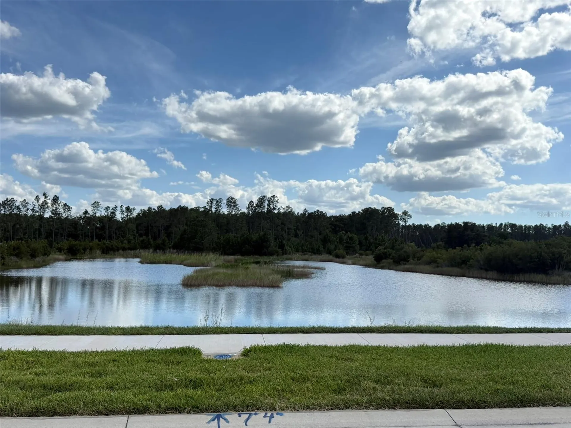 7677 Broad River Avenue Land O Lakes FL 34638