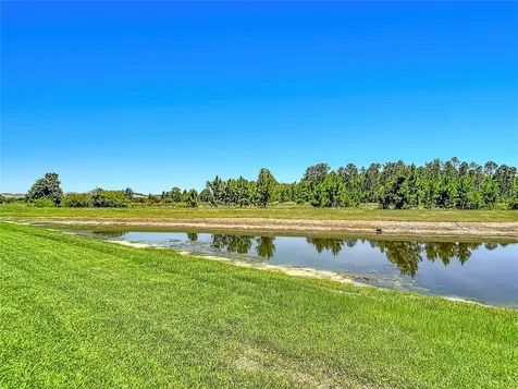 7677 Broad River Avenue Land O Lakes FL 34638