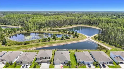 7677 Broad River Avenue Land O Lakes FL 34638