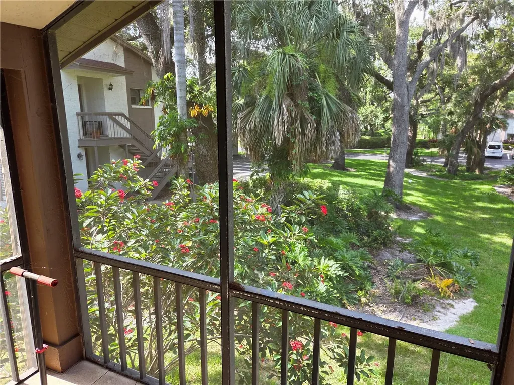 2367 Flanders Way Safety Harbor FL 34695