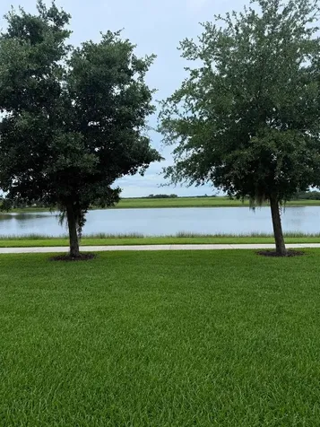 1254 Royal St George Boulevard Davenport FL 33896