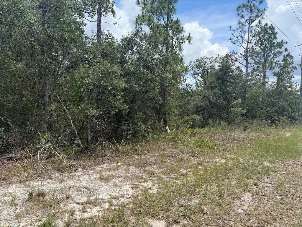 6215 S Premiere Avenue Homosassa FL 34446
