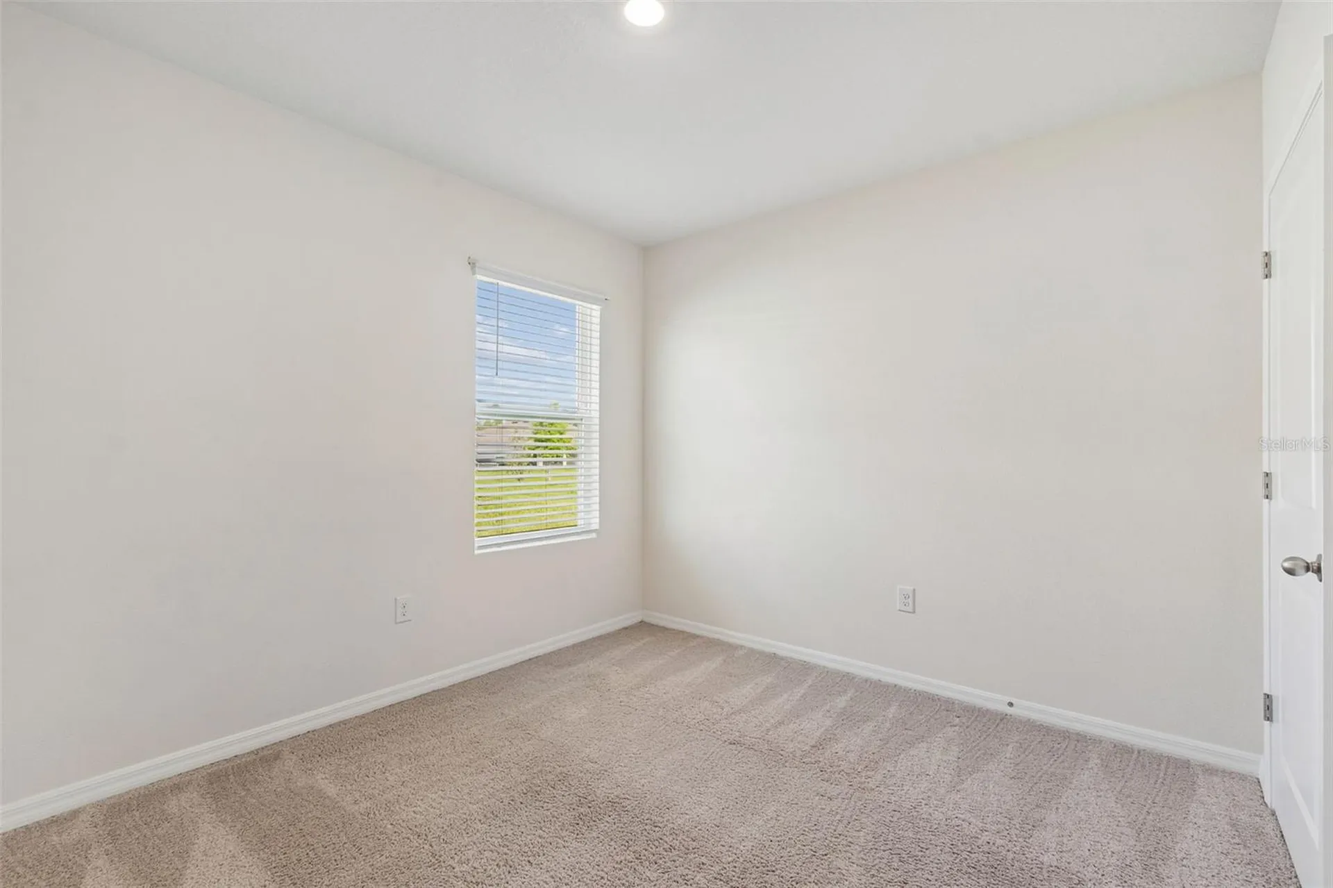 35525 Stella Vast Drive Zephyrhills FL 33541