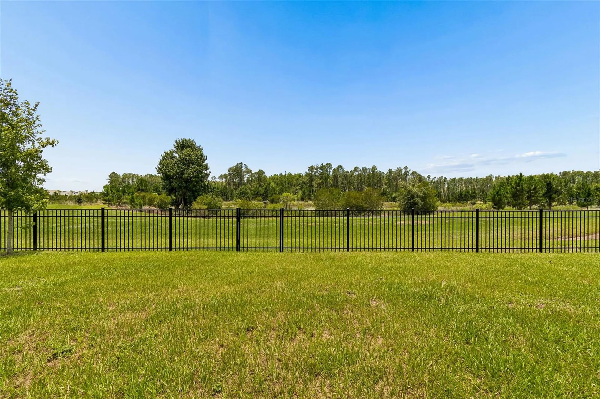7629 Broad River Avenue Land O Lakes FL 34638
