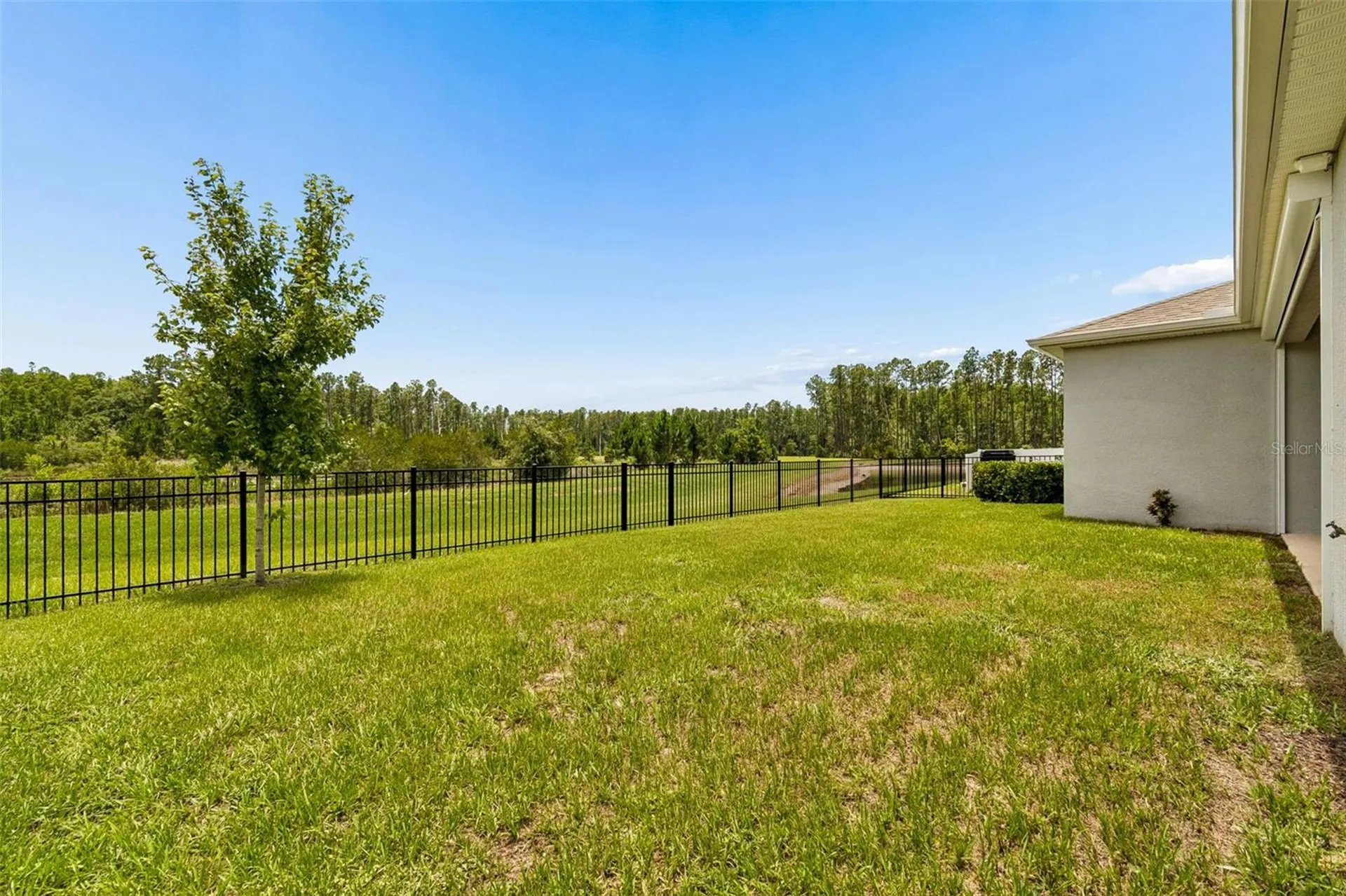 7629 Broad River Avenue Land O Lakes FL 34638