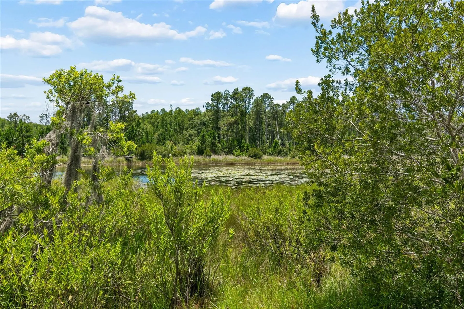 7629 Broad River Avenue Land O Lakes FL 34638