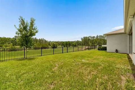 7629 Broad River Avenue Land O Lakes FL 34638