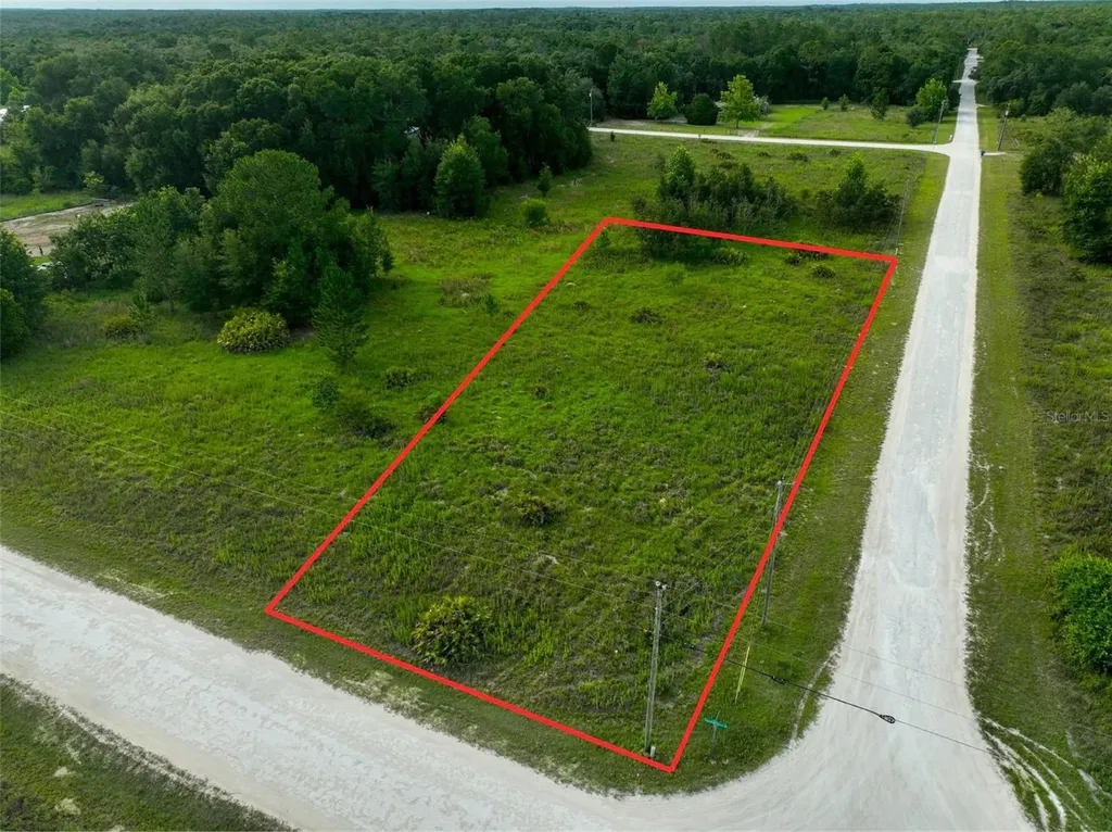 9017 Split Stone Drive Webster FL 33597