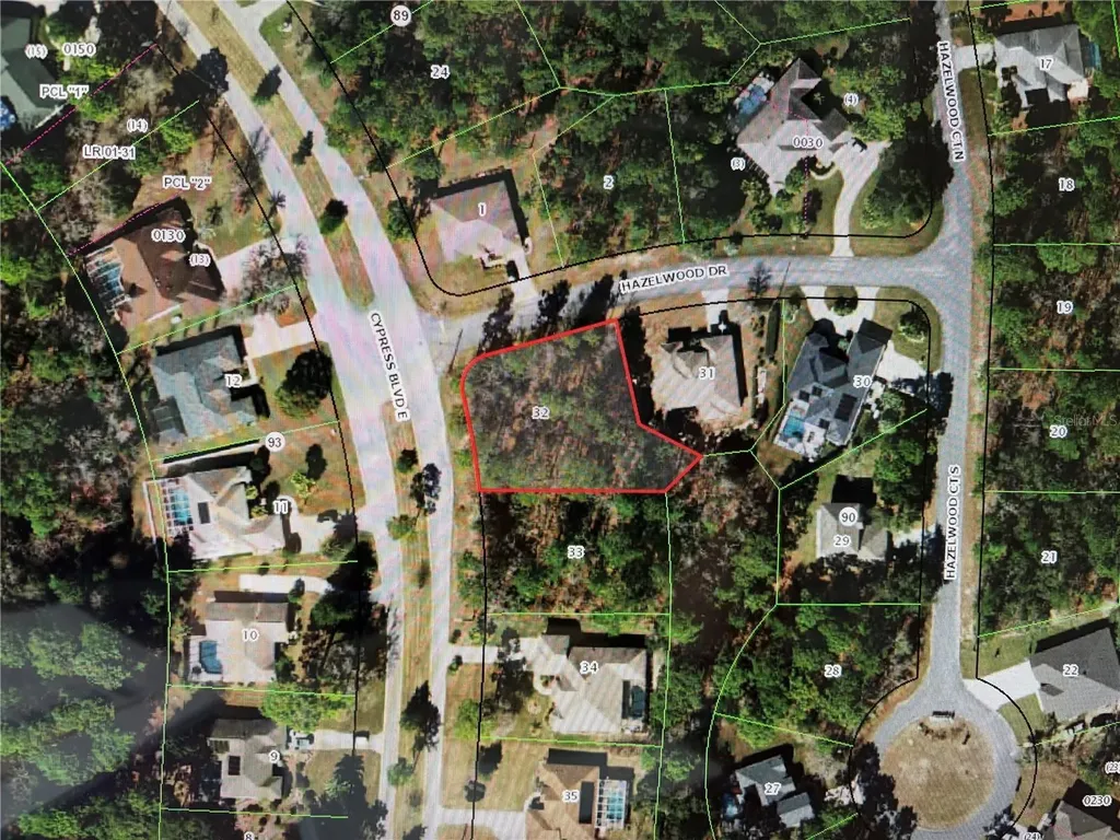 1 Hazelwood Drive Homosassa FL 34446