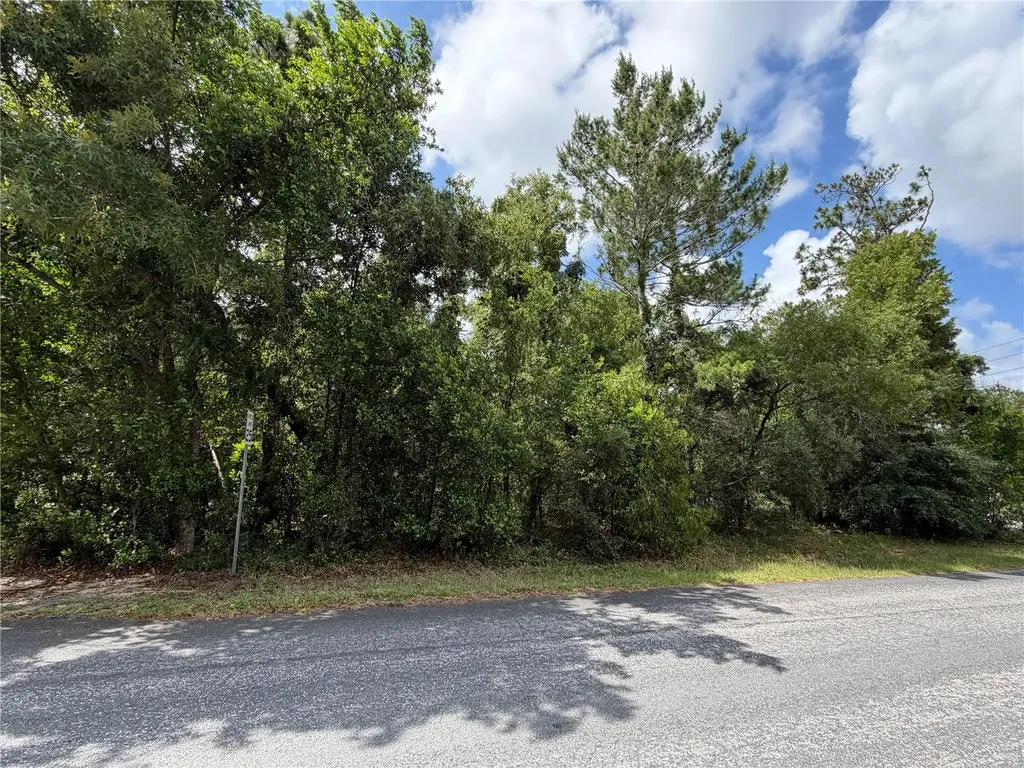 1 Hazelwood Drive Homosassa FL 34446
