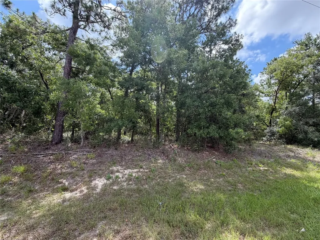 1 Hazelwood Drive Homosassa FL 34446