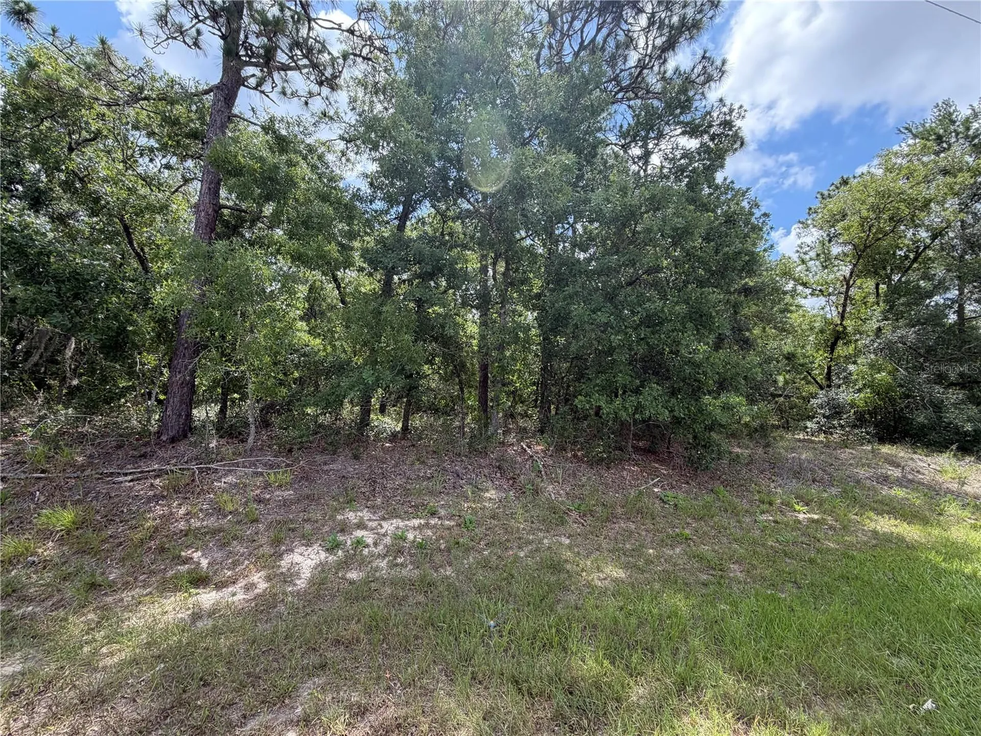 1 Hazelwood Drive Homosassa FL 34446
