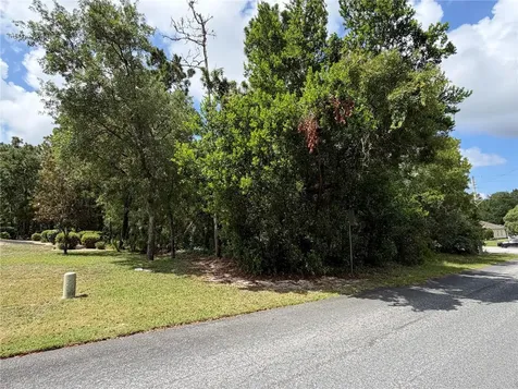 1 Hazelwood Drive Homosassa FL 34446