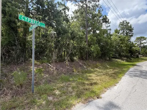 1 Hazelwood Drive Homosassa FL 34446