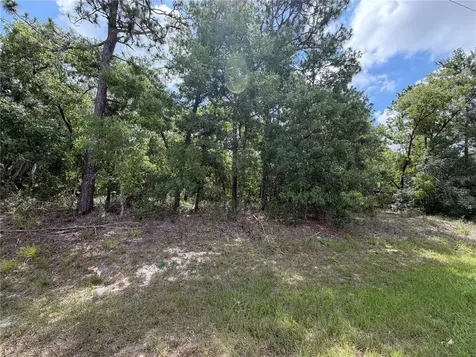 1 Hazelwood Drive Homosassa FL 34446