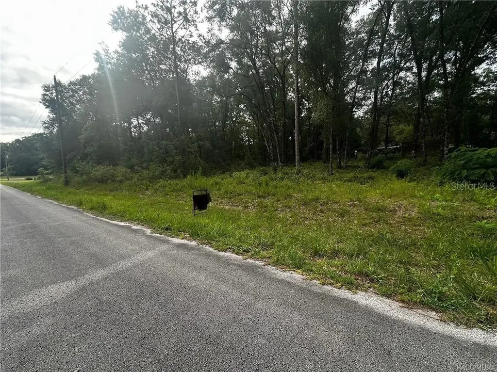 3698 E Johnson Place Inverness FL 34453