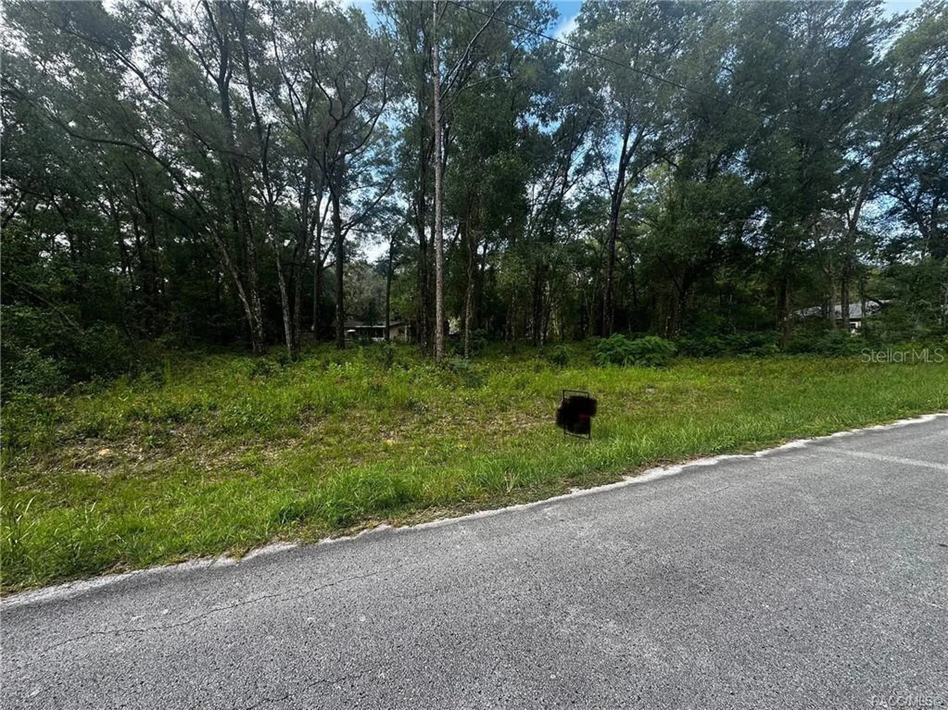 3698 E Johnson Place Inverness FL 34453