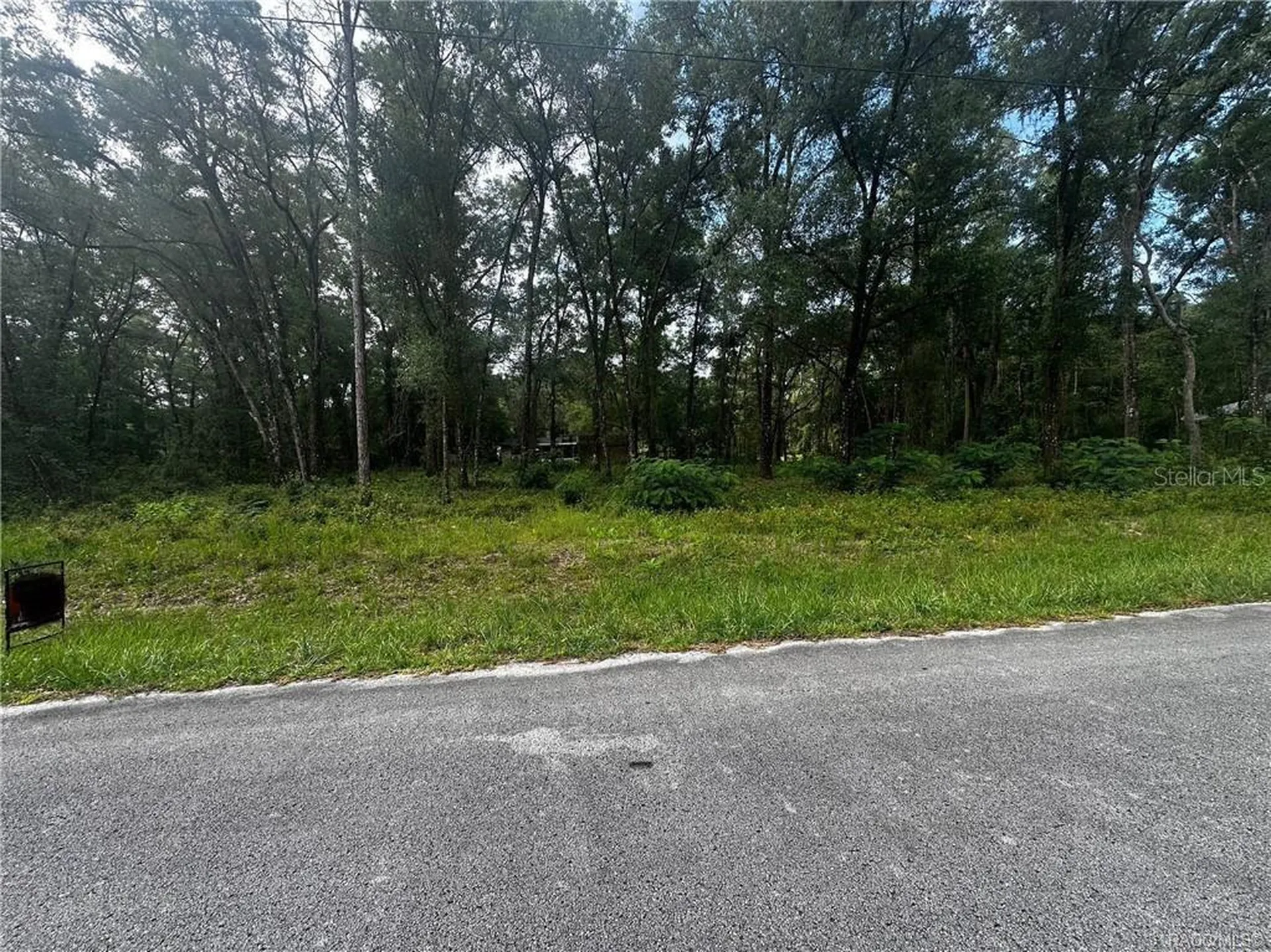 3698 E Johnson Place Inverness FL 34453