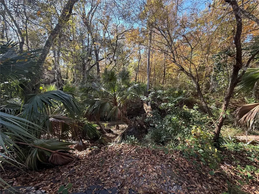 1515 NW 29th Road Gainesville FL 32605
