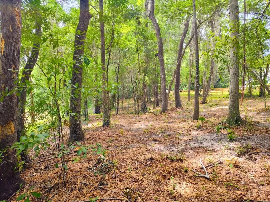 Fitzhugh Avenue Brooksville FL 34601
