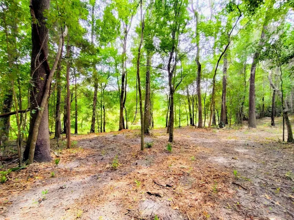 Fitzhugh Avenue Brooksville FL 34601