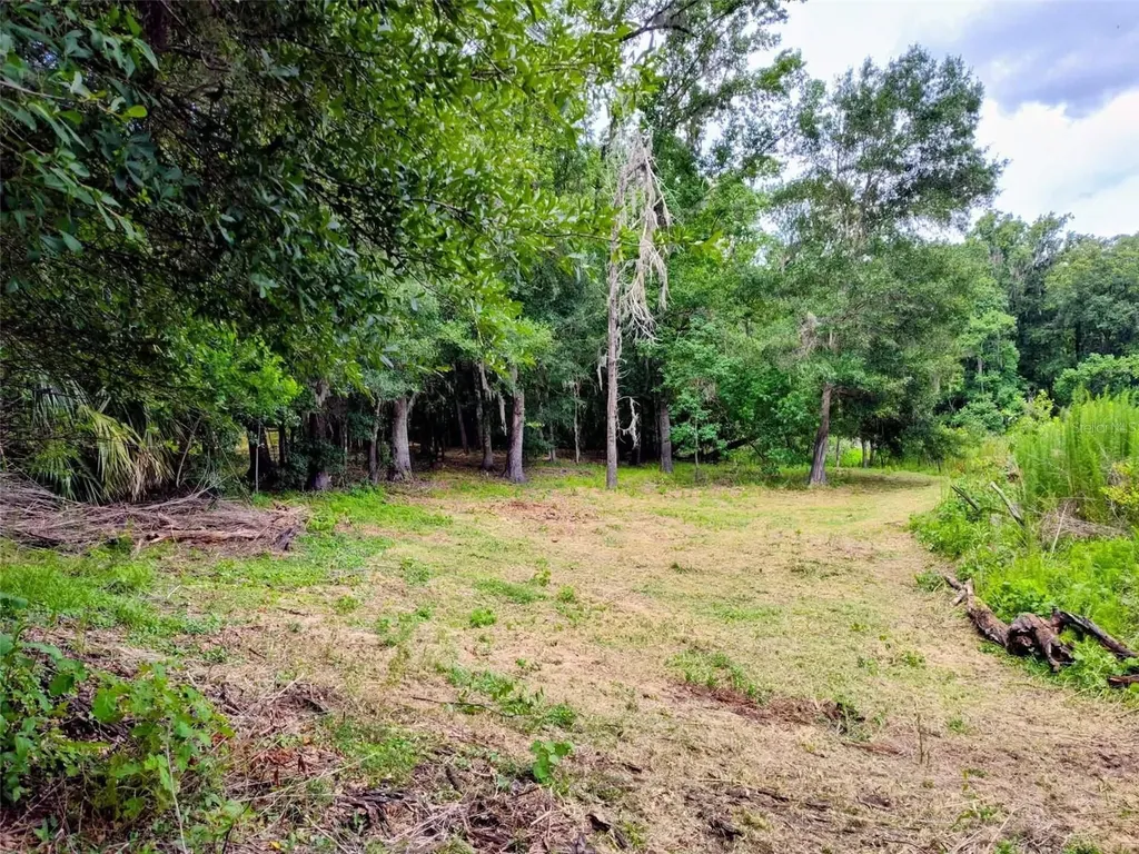 Fitzhugh Avenue Brooksville FL 34601