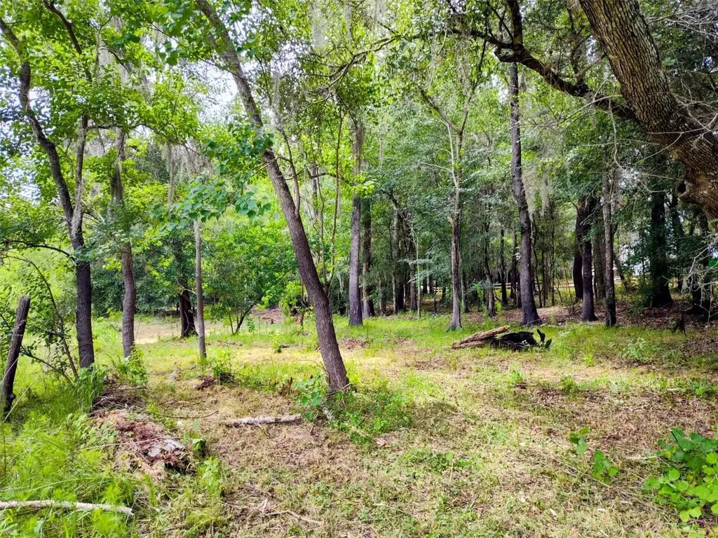 Fitzhugh Avenue Brooksville FL 34601