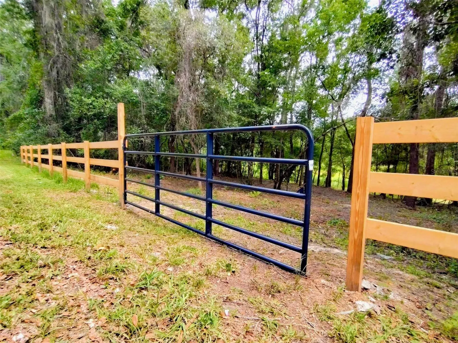 Fitzhugh Avenue Brooksville FL 34601