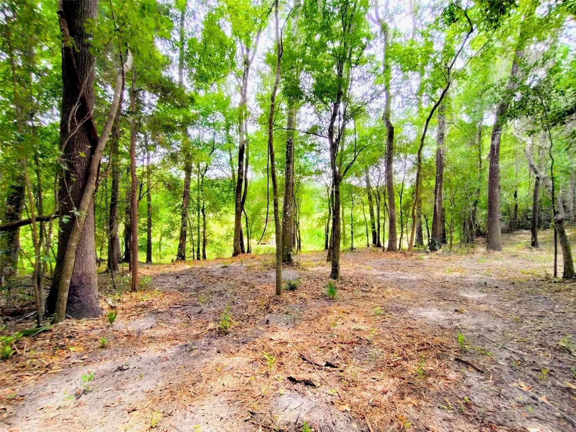 Fitzhugh Avenue Brooksville FL 34601