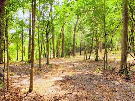 Fitzhugh Avenue Brooksville FL 34601