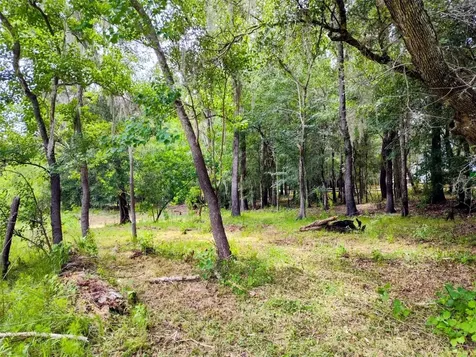 Fitzhugh Avenue Brooksville FL 34601