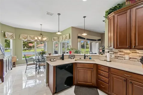 518 Davinci Pass Kissimmee FL 34759
