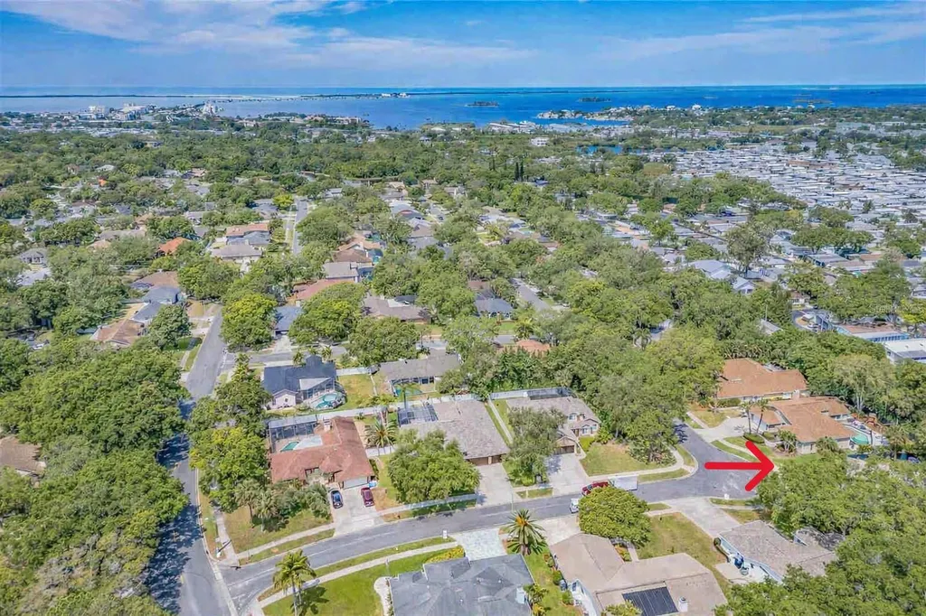 2899 Turtle Terrace Palm Harbor FL 34683