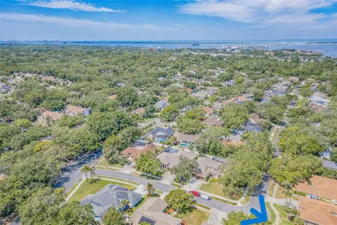 2899 Turtle Terrace Palm Harbor FL 34683