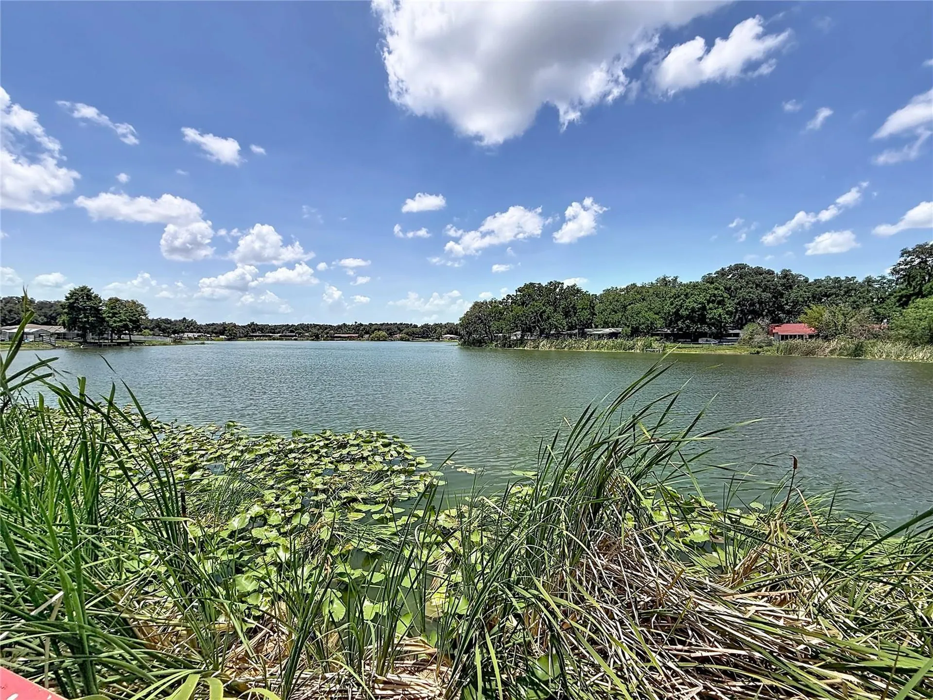 912 Shangri La Drive Seffner FL 33584