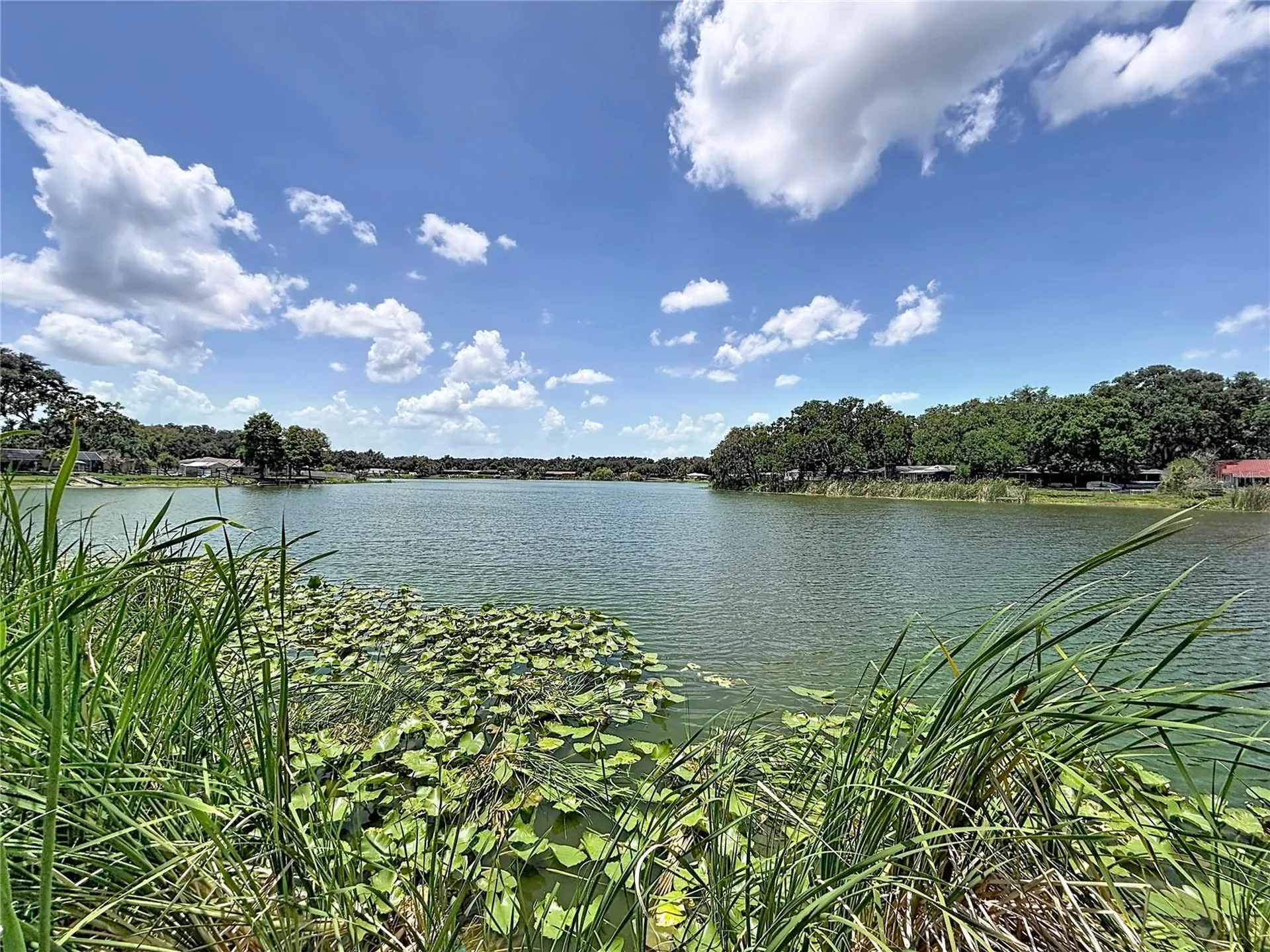 912 Shangri La Drive Seffner FL 33584
