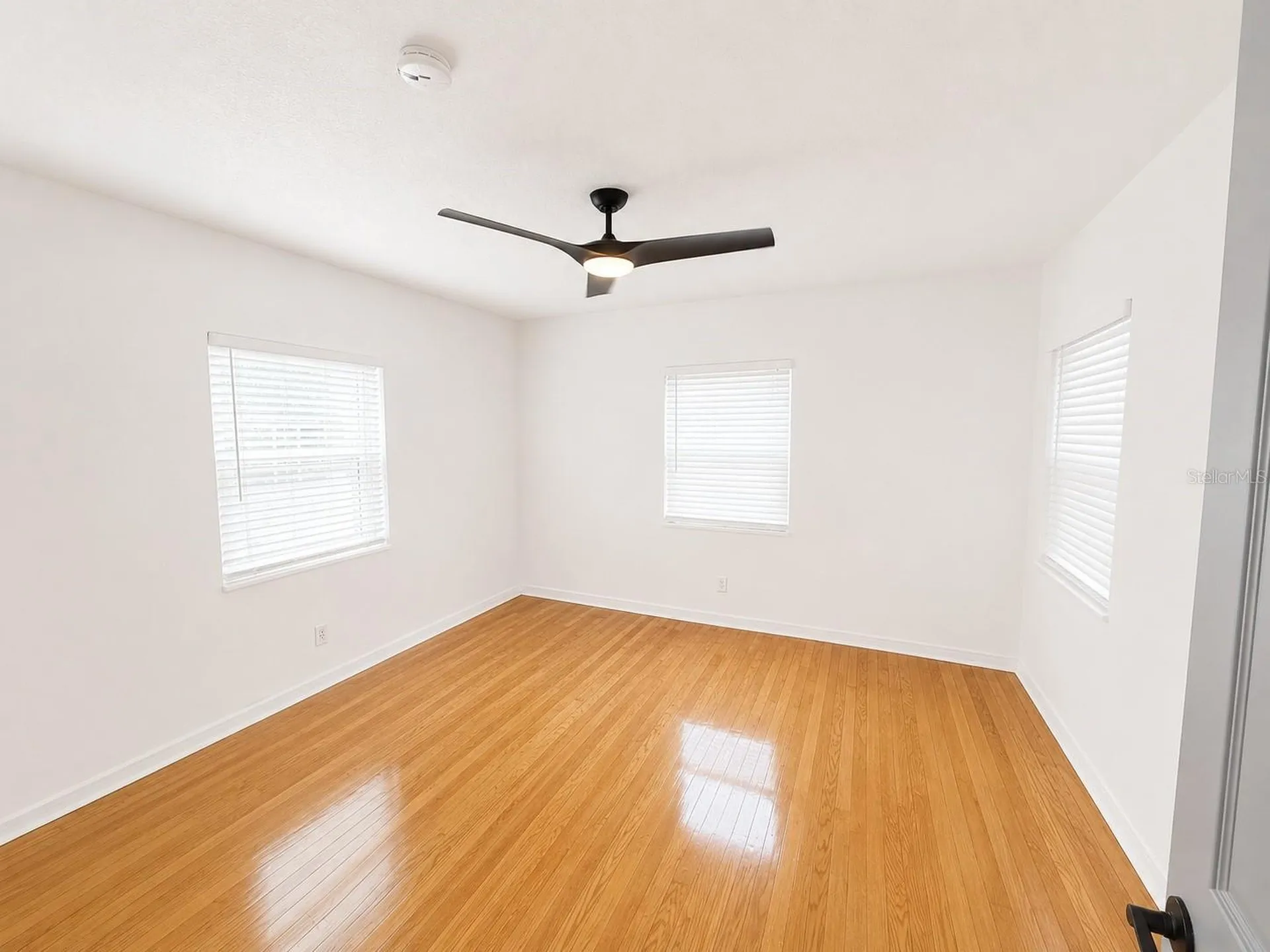 3815 W North B Street Tampa FL 33609