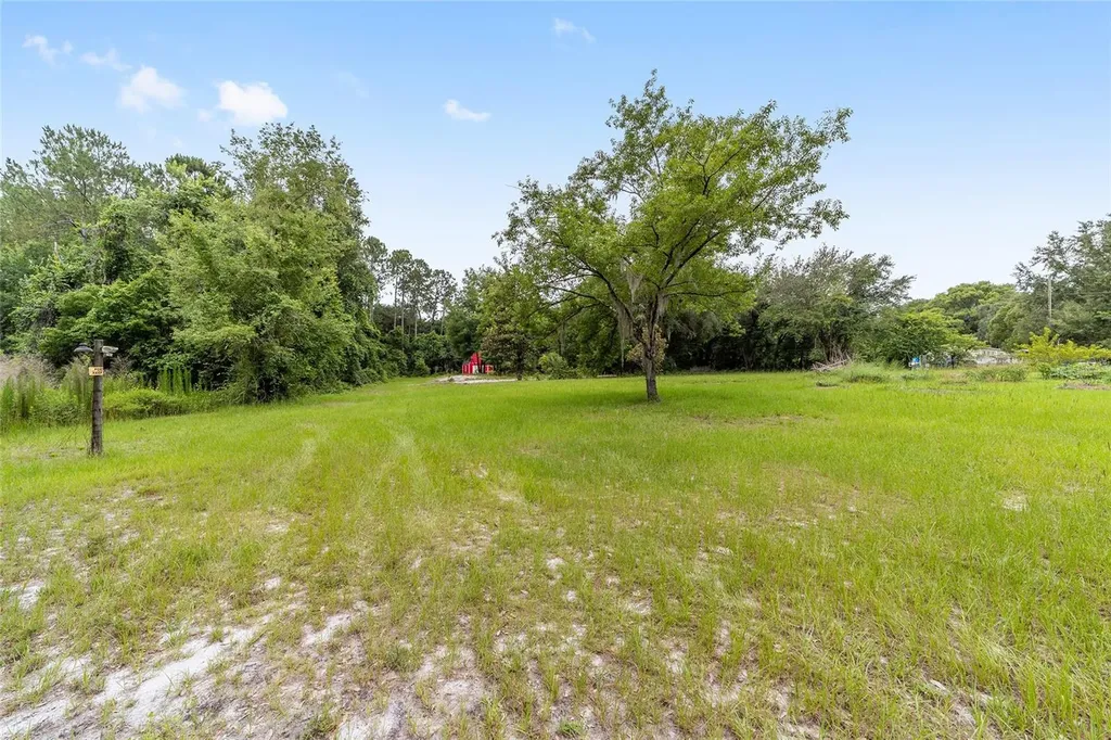 11895 SE 136th Court Ocklawaha FL 32179