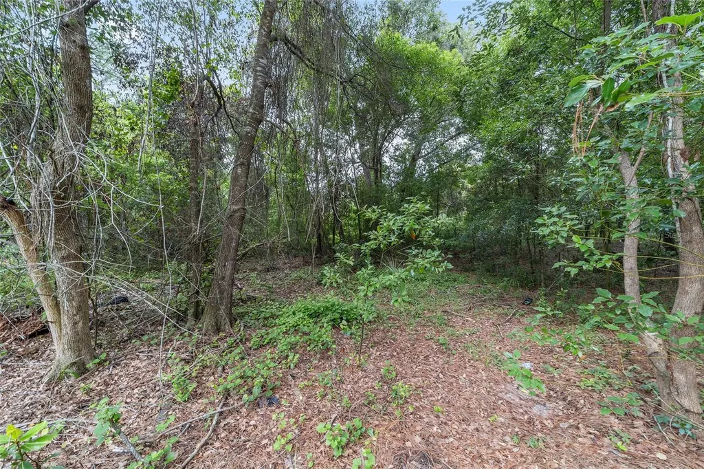 11895 SE 136th Court Ocklawaha FL 32179