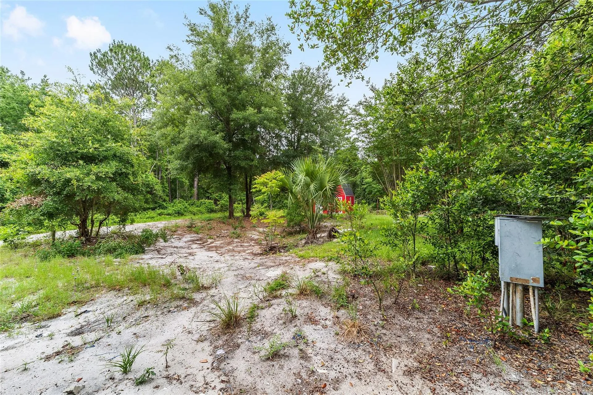 11895 SE 136th Court Ocklawaha FL 32179