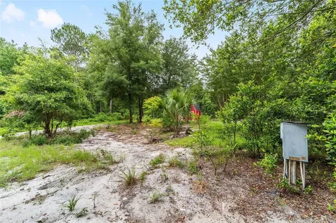 11895 SE 136th Court Ocklawaha FL 32179