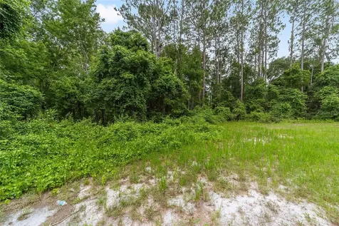 11895 SE 136th Court Ocklawaha FL 32179