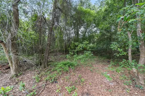 11895 SE 136th Court Ocklawaha FL 32179